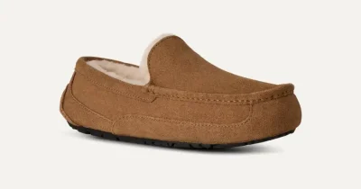 UGG Ascot Men’s Suede Slipper – Chestnut