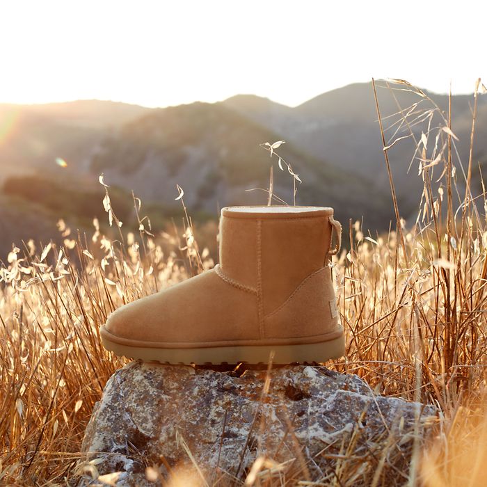 Read more about the article How to Clean UGGs: A Complete Guide