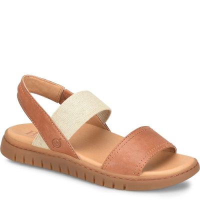 Women’s Born Amabel Ankle Strap Sandal